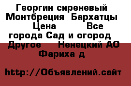 Георгин сиреневый. Монтбреция. Бархатцы.  › Цена ­ 100 - Все города Сад и огород » Другое   . Ненецкий АО,Фариха д.